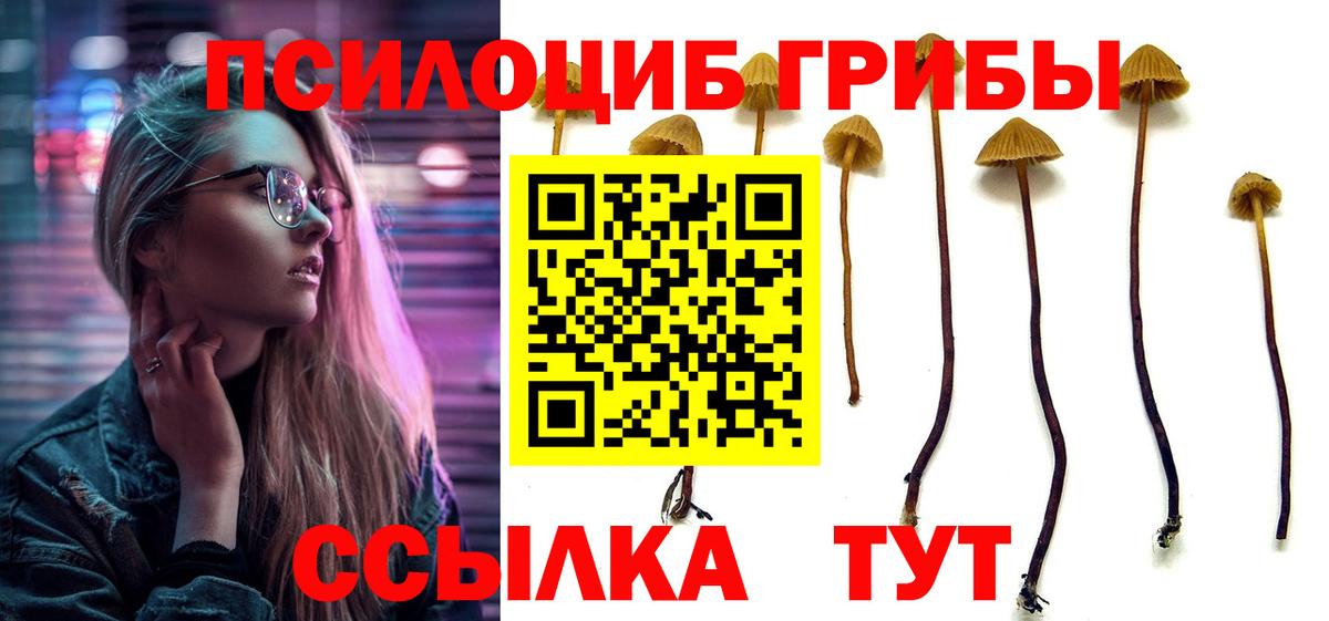 Псилоцибиновые грибы мицелий  Галлюциногенные грибы MAGIC MUSHROOMS  Дмитров  Вход с VPN 